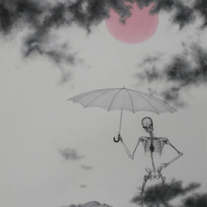 Zhao Jinhe