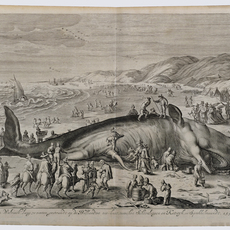 William van der Gouwen