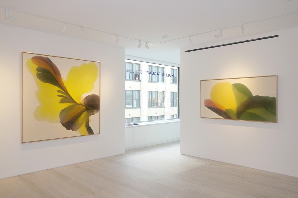 Irene Monat Stern - Installation view Irene Monat Stern - Installation view