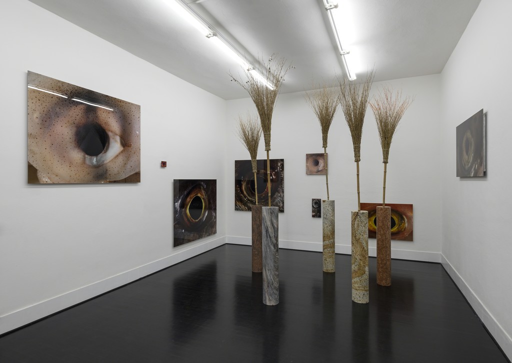 Bruna Esposito
davvero, 2016
installation view at FL GALLERY - SPAZIO 22
Courtesy the artist and FL GALLERY
Photo: Antonio Maniscalco Bruna Esposito
davvero, 2016
installation view at FL GALLERY - SPAZIO 22
Courtesy the artist and FL GALLERY
Photo: Antonio Maniscalco