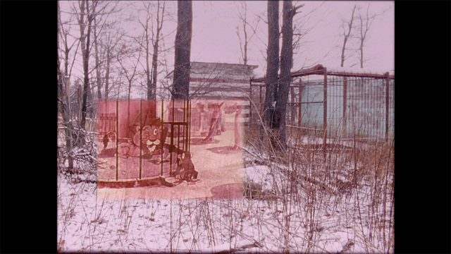 Amy O'Neill, ‘The Zoo Revolution’, 2006-2019, Video/Film/Animation, 16 mm transfer to HD video, color, sound, Paula Cooper Gallery