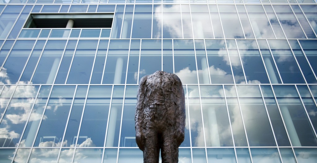 Magdalena Abakanowicz, Detail of Figure on a Trunk, 2000. Photo by Robert Boland. Courtesy of Landmarks, the public art program of The University of Texas at Austin. Magdalena Abakanowicz, Detail of Figure on a Trunk, 2000. Photo by Robert Boland. Courtesy of Landmarks, the public art program of The University of Texas at Austin.