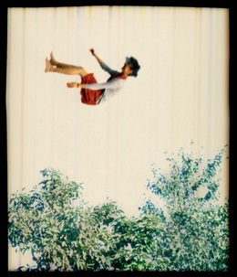Elijah Gowin, ‘Falling in Trees 1’, 2006, Photography, Pigment inkjet print, Robert Mann Gallery