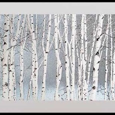 Ted Colyer