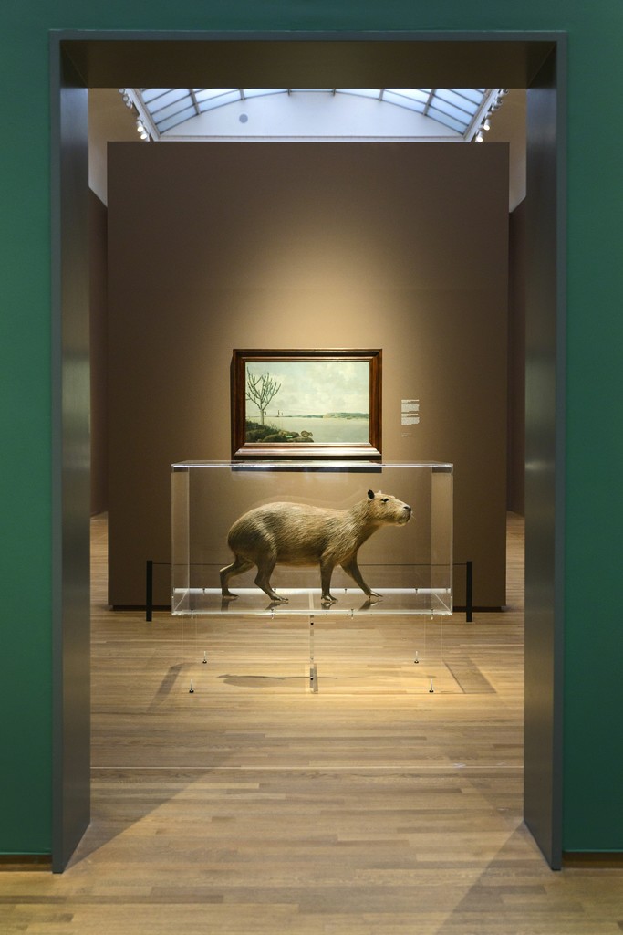 Installation view, "Frans Post" at Rijksmuseum. Photo Olivier Middendorp Installation view, "Frans Post" at Rijksmuseum. Photo Olivier Middendorp