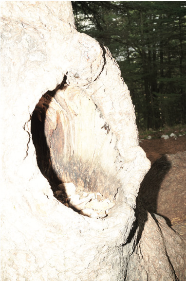 Marco Pietracupa, ‘Untitled ’, 2007-2017, Mannerheim Gallery