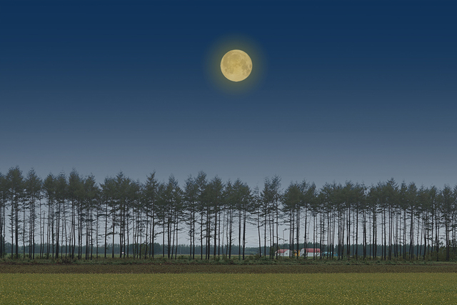 KAZZ MORISHITA, ‘Happy Time’, 2015, PDNB Gallery