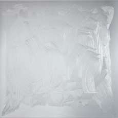 Bertrand Lavier
