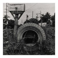 Mailbox and Tire