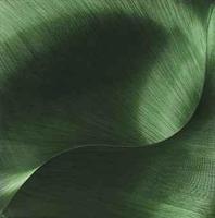 Yesil Yapsal ('Green Leaf')