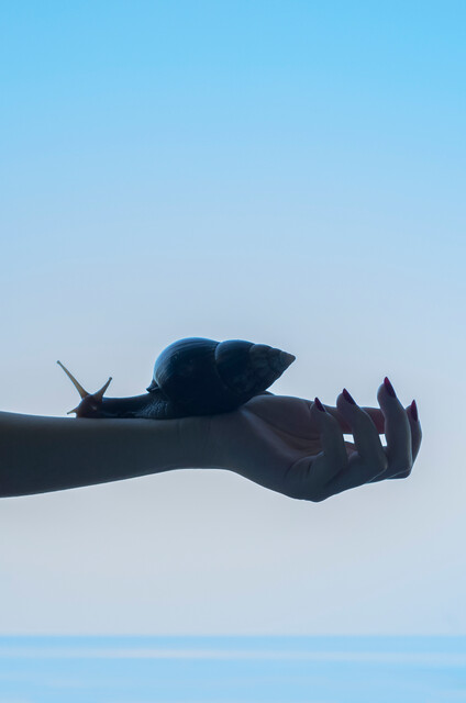 Woman and Snail