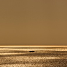 H. Hugh Miller