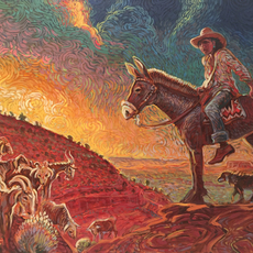 Shonto Begay