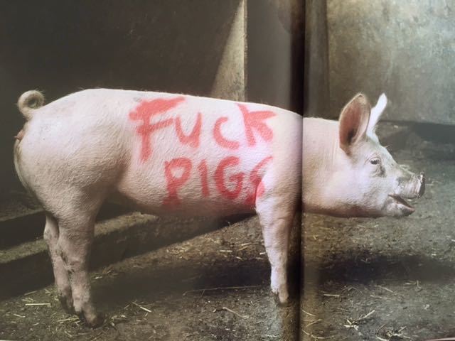 Banksy, ‘BANKSY "FUCK PIGS' HS BY STEVE LAZARIDES, LIMITED EDITION’, 2018, Arts Limited