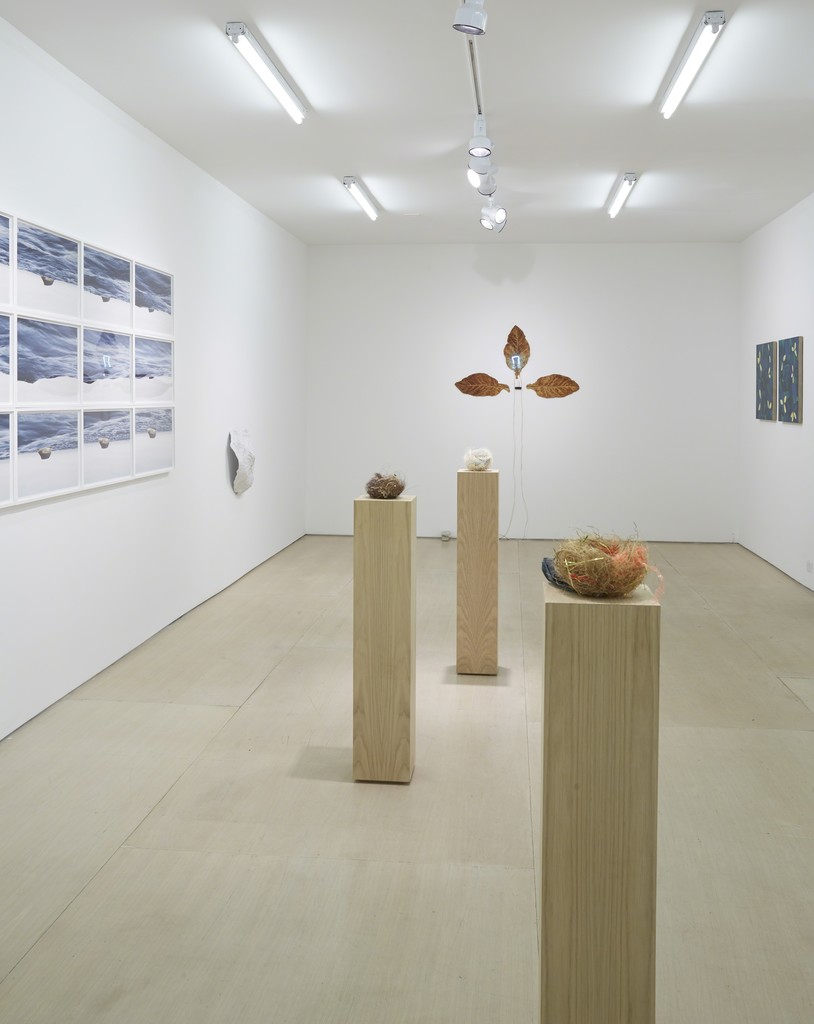 Installation view: Ordering Nature
New York, BOESKY EAST, June 12 – July 31, 2015
Photo credit: Jason Wyche Installation view: Ordering Nature
New York, BOESKY EAST, June 12 – July 31, 2015
Photo credit: Jason Wyche