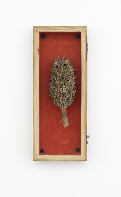 Ícaro Lira, ‘Untitled’, 2015, Central Galeria de Arte