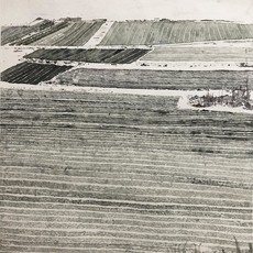 Ding Xiaozhen 丁小真