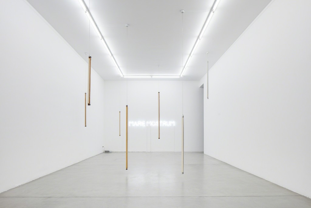 Runo Lagomarsino
West is everywhere you look, 2016
Exhibition view at Francesca Minini, Milan Runo Lagomarsino
West is everywhere you look, 2016
Exhibition view at Francesca Minini, Milan