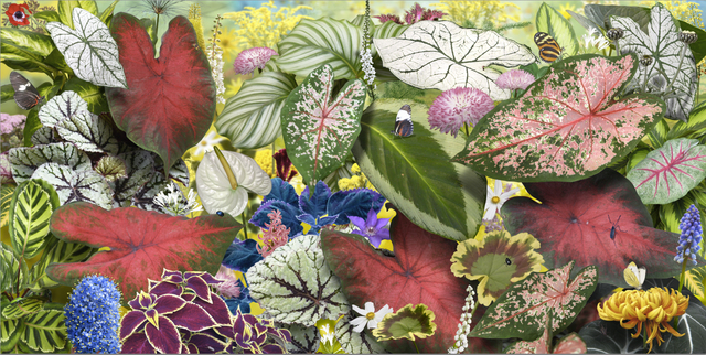 Ruud Van Empel, ‘Voyage Pittoresque #6’, 2017, Huxley-Parlour