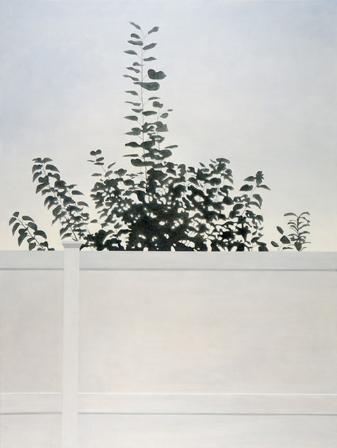 Frank Webster