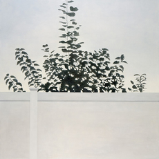 Frank Webster
