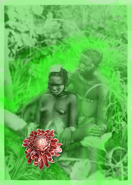 Owanto, ‘Flowers III’, 2015, Voice Gallery