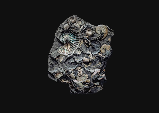 Andrey Akimov, ‘Fossil#5’, 2019, Galería Silvestre