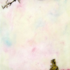 Cecile Chong
