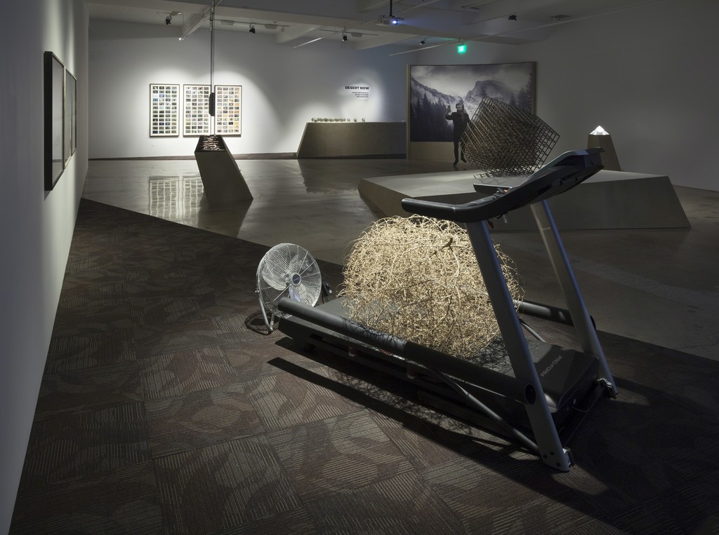 Desert Now, Installation view, Steve Turner, March 2016 Desert Now, Installation view, Steve Turner, March 2016
