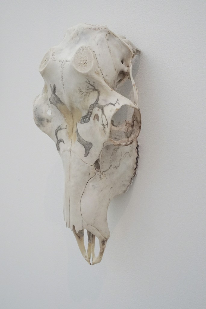 Tanja Thorjussen "Tupilaq Relic" nr 4 2018, Reindeer scull with pencil drawing. Tanja Thorjussen "Tupilaq Relic" nr 4 2018, Reindeer scull with pencil drawing.