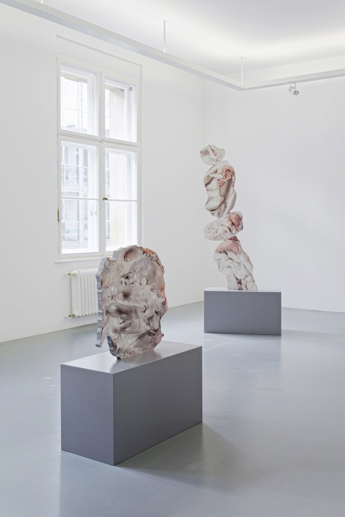 Rachel de Joode
Surfaces – Installation view, 2015 Rachel de Joode
Surfaces – Installation view, 2015