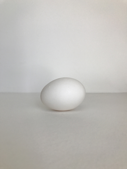 Lekha Singh, ‘Egg’, 2017, Photography, On mounted acrylic, JL Phillips Gallery