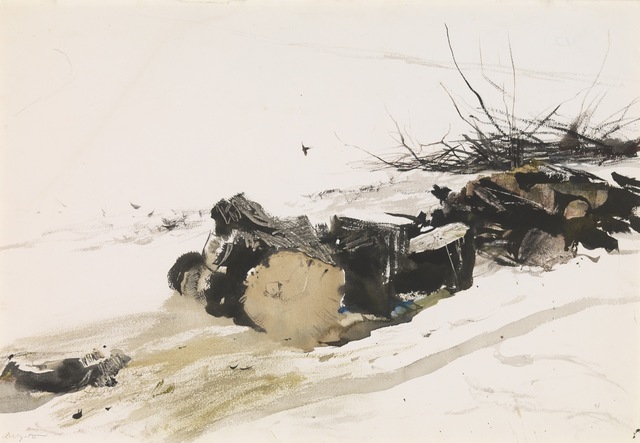 Andrew Wyeth, ‘Silver Maple’, 1954, Somerville Manning Gallery