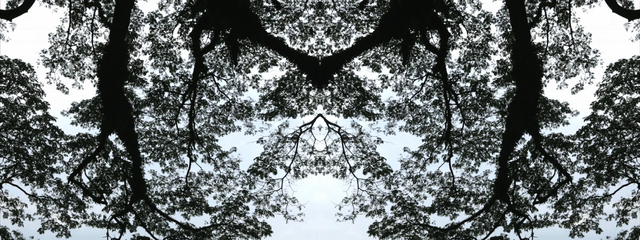 Boo Junfeng, ‘Mirrow’, 2013, Video/Film/Animation, Two-channel high definition video, Pearl Lam Galleries