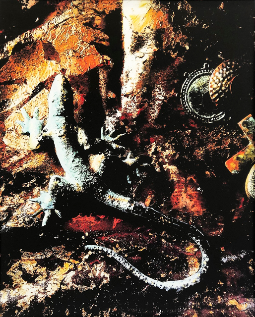 David Ash, ‘When the Tomb was Opened’, 2019, Galerie Libre Est L'Art