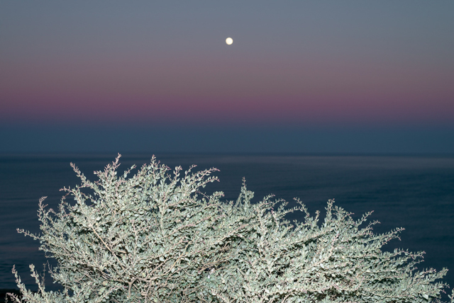 François Ollivier, ‘Lunaire’, 2016, Photography, Digital print, The Print Atelier