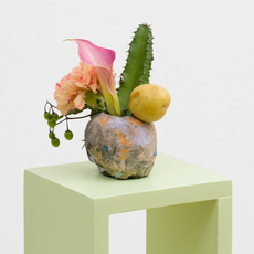 Emilia Bergmark