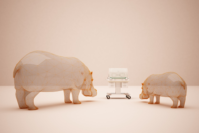 Incubator Inspection