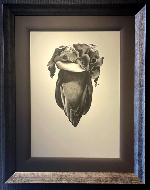 Georgia O'Keeffe - 92 Artworks, Bio & Shows on Artsy