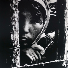 Takashi Hamaguchi