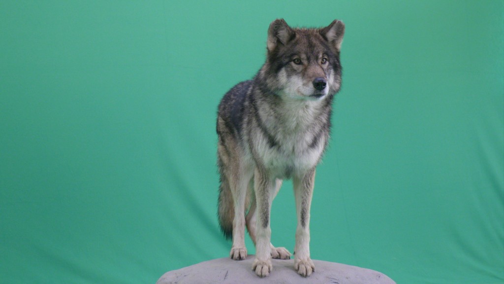 Jonas Brinker, „Standing Still“, 2019, Video Still, © Jonas Brinker, Courtesy of the artist Jonas Brinker, „Standing Still“, 2019, Video Still, © Jonas Brinker, Courtesy of the artist