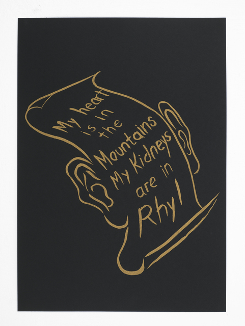 Bedwyr Williams, ‘My heart is in the Mountains My Kidneys are in Rhyl’, 2017, Studio Voltaire