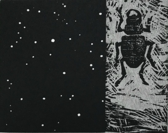 Vija Celmins, ‘Night Sky / Beetle’, 1990, Print, Woodcut and linoleum cut on Somerset paper, Caviar20