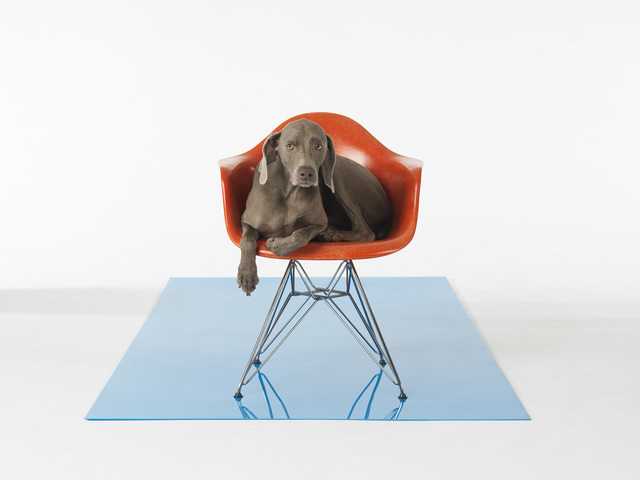 William Wegman, ‘On Set’, 2015, Betsy Senior Fine Art