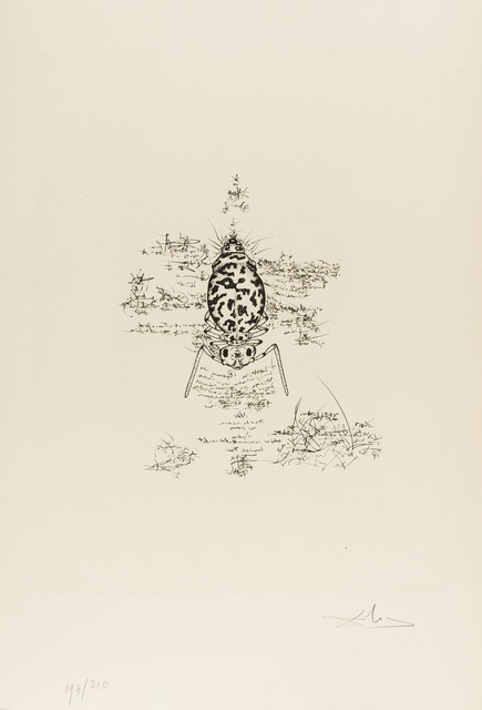 Salvador Dalí, ‘Immortalité du Dalianus Galae (M & L 567b; Field 73-20A)’, 1975, Forum Auctions