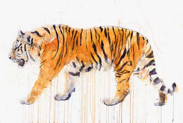 Dave White, ‘Tiger XXL’, 2019, Print, Giclee, hand finished with 24 carat gold leaf. Exclusive edition., The Drang Gallery