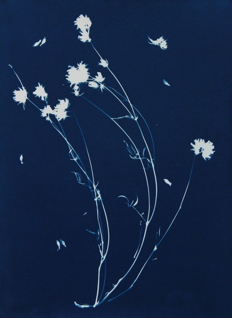 Pipo Nguyen-duy, ‘Untitled 03’, 1009, ClampArt