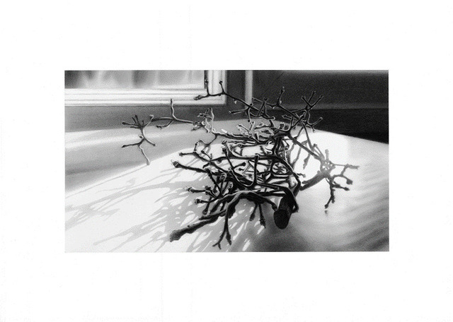 Grape Stem