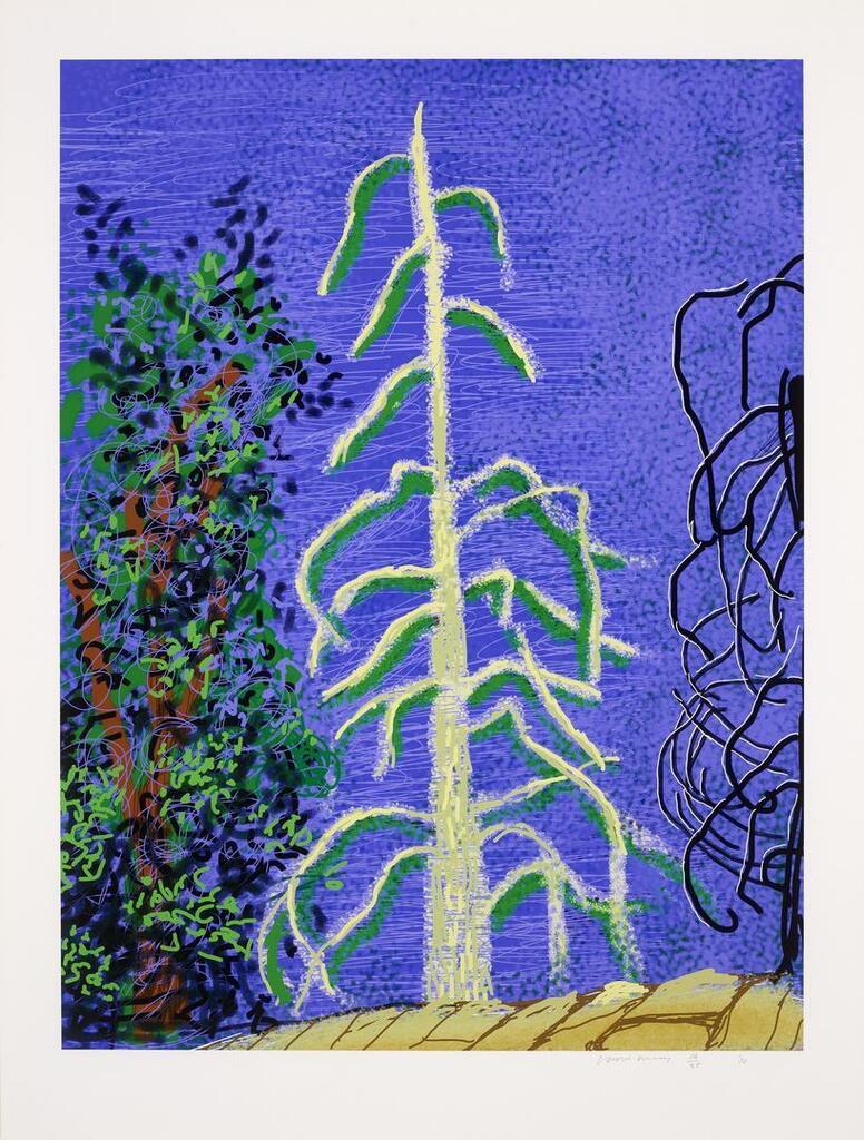 David Hockney - Untitled No. 14, from The Yosemite Suite