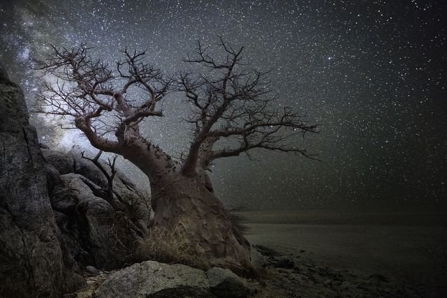Beth Moon, ‘Lyra’, Photography, Archival Pigment Print, photo-eye Gallery